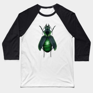 Malachite Beetle Baseball T-Shirt